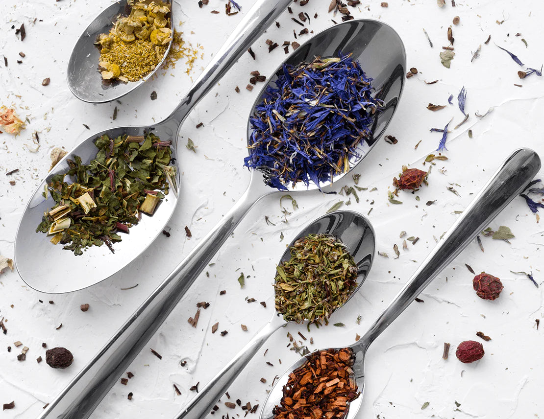 The Standard Chunk Of Lorem Ipsum Used Since